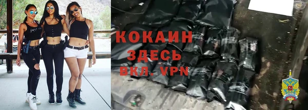 2c-b Краснослободск
