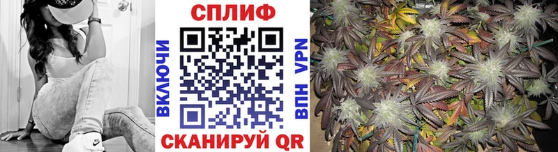 Шишки марихуана сатива  Купить  Россошь 